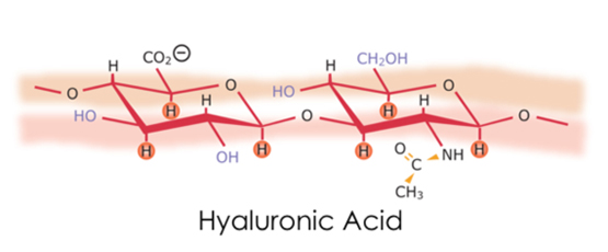 Hyaluronsäure